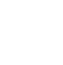 icon-store