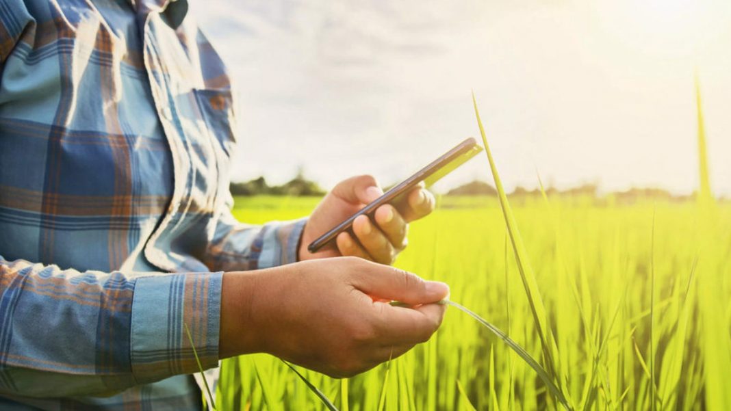 Transformação Digital e E-commerce no Agronegócio Transformação Digital e E-commerce no Agronegócio