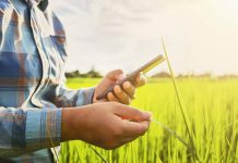 Transformação Digital e E-commerce no Agronegócio Transformação Digital e E-commerce no Agronegócio