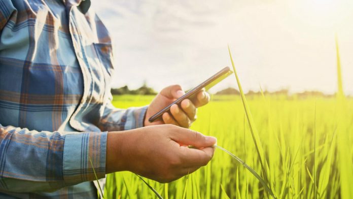 Transformação Digital e E-commerce no Agronegócio