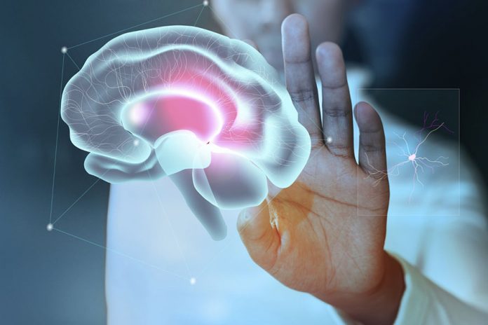 Gatilhos mentais no e-commerce